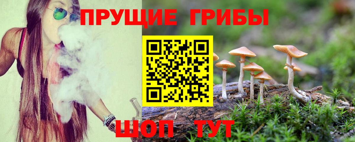 Псилоцибиновые грибы Psilocybine cubensis  Вход с VPN  Гусев 